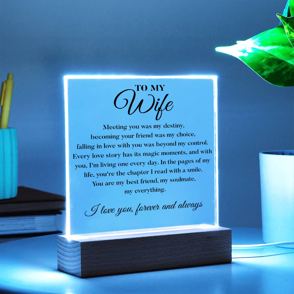 To My Wife, Meeting You Was My Destiny - Acrylic Plaque